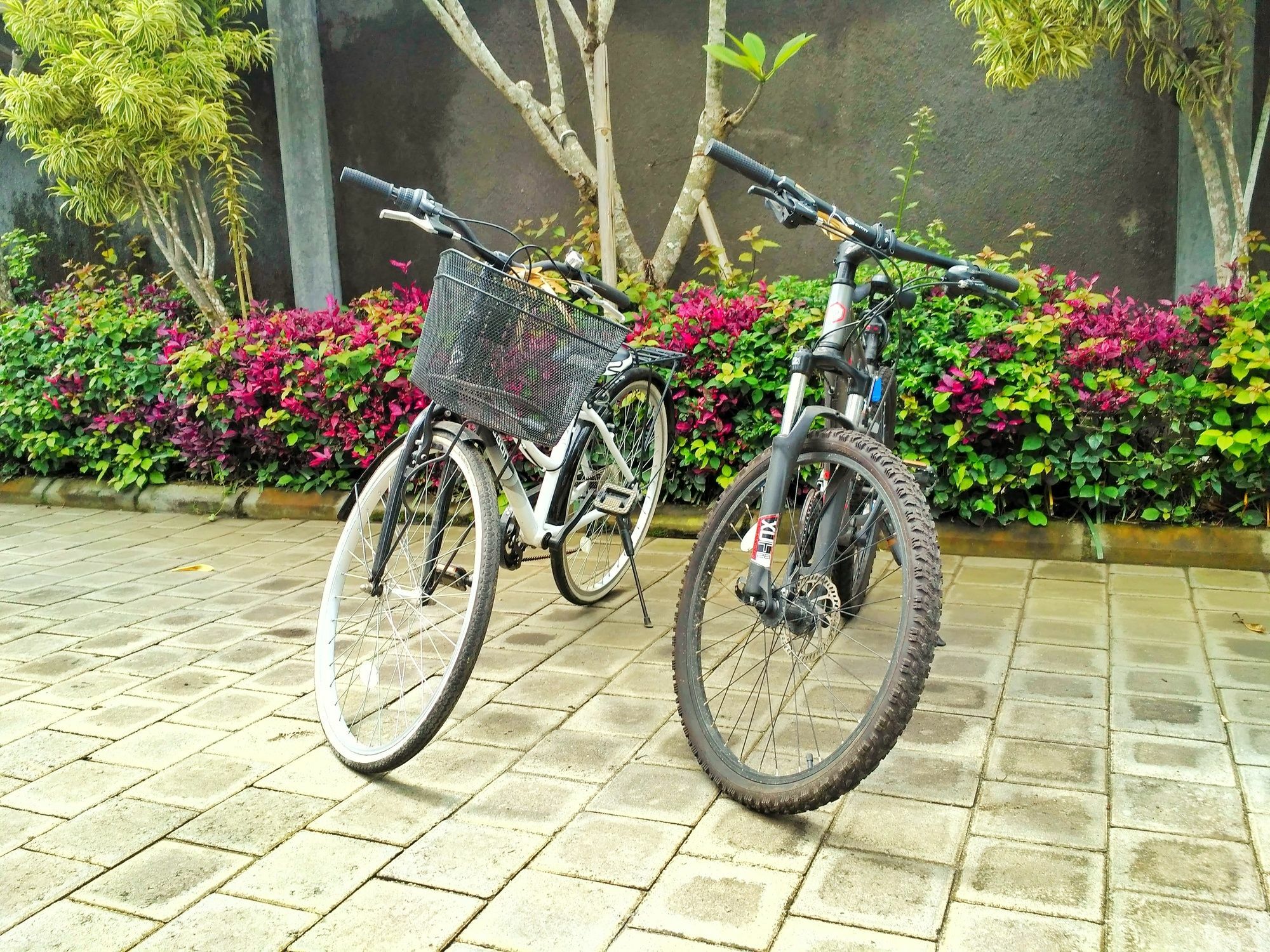 Amelle Villas & Residences Canggu Eksteriør bilde
