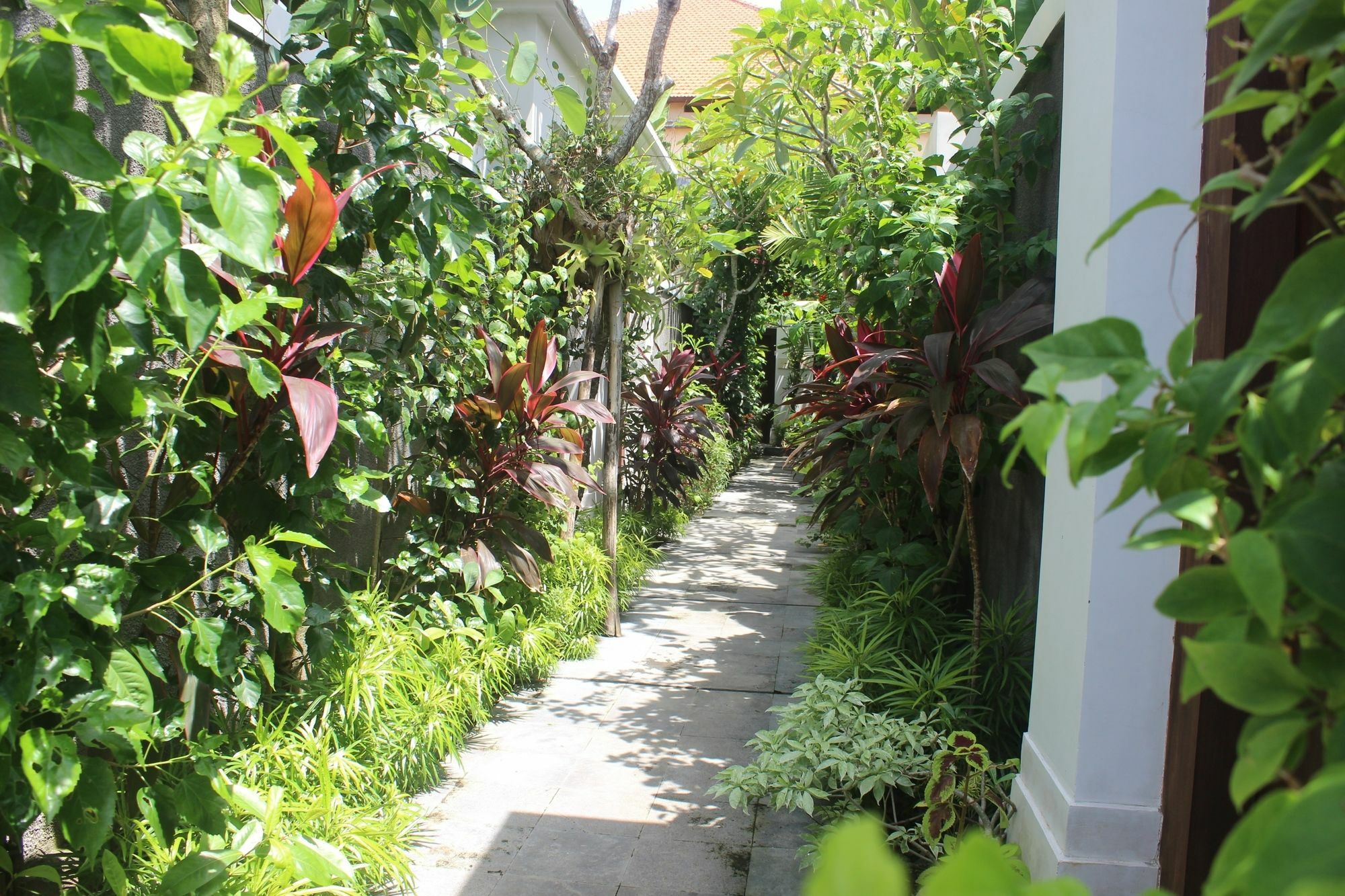 Amelle Villas & Residences Canggu Eksteriør bilde